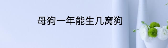 母狗一年能生几窝狗