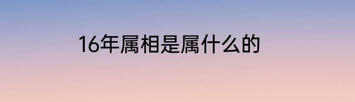 16年属相是属什么的