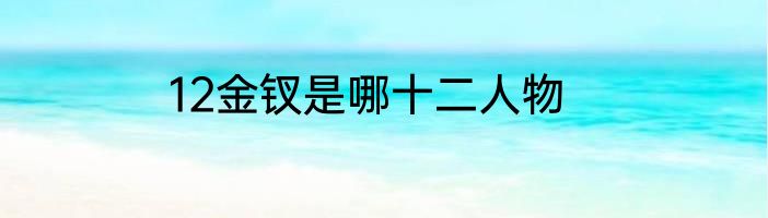 12金钗是哪十二人物