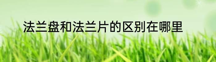 法兰盘和法兰片的区别在哪里