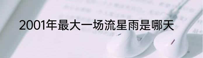 2001年最大一场流星雨是哪天
