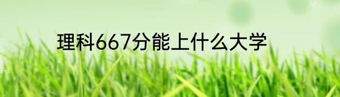 理科667分能上什么大学