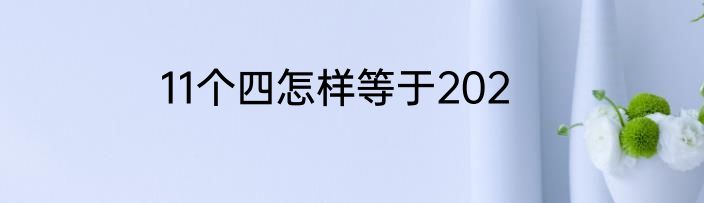 11个四怎样等于202
