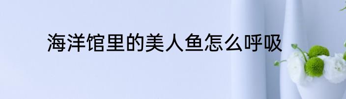 海洋馆里的美人鱼怎么呼吸