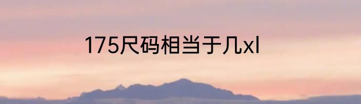 175尺码相当于几xl