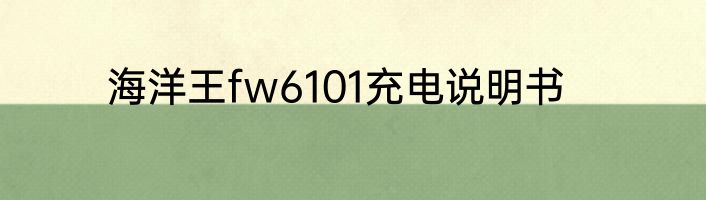 海洋王fw6101充电说明书