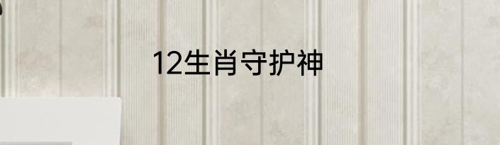 12生肖守护神