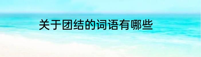 关于团结的词语有哪些