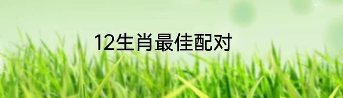12生肖最佳配对