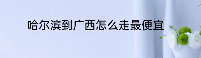 哈尔滨到广西怎么走最便宜