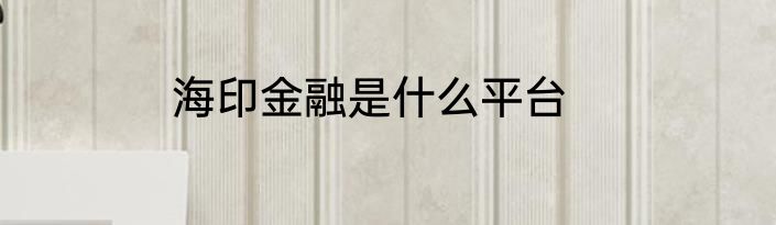 海印金融是什么平台