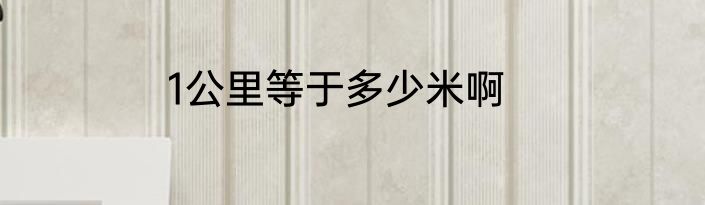 1公里等于多少米啊