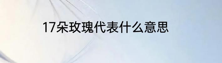17朵玫瑰代表什么意思