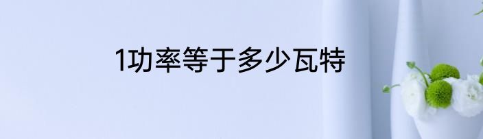 1功率等于多少瓦特