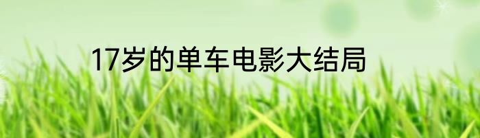 17岁的单车电影大结局