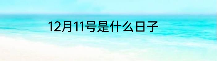 12月11号是什么日子