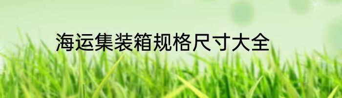 海运集装箱规格尺寸大全