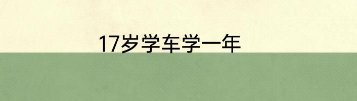 17岁学车学一年