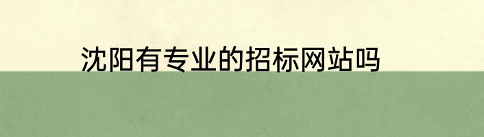 沈阳有专业的招标网站吗