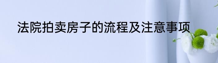 法院拍卖房子的流程及注意事项