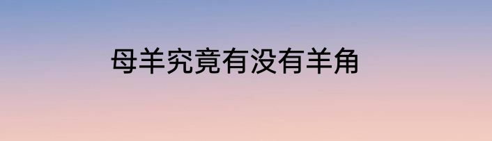 母羊究竟有没有羊角
