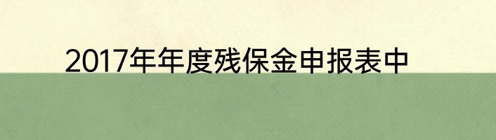 2017年年度残保金申报表中