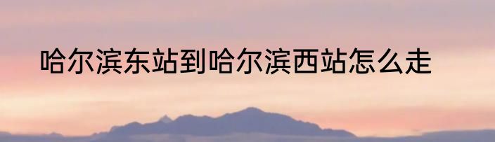 哈尔滨东站到哈尔滨西站怎么走