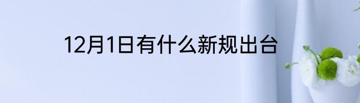 12月1日有什么新规出台