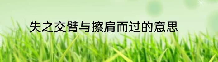 失之交臂与擦肩而过的意思