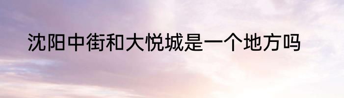 沈阳中街和大悦城是一个地方吗