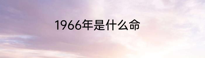 1966年是什么命