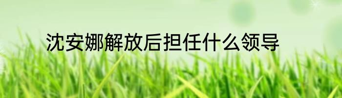 沈安娜解放后担任什么领导