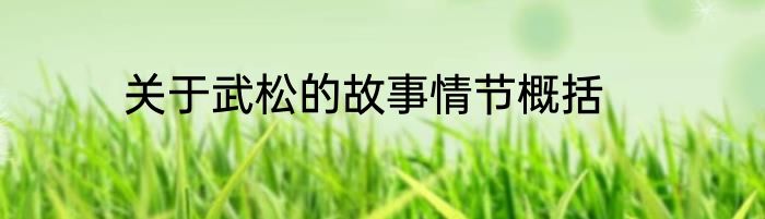 关于武松的故事情节概括