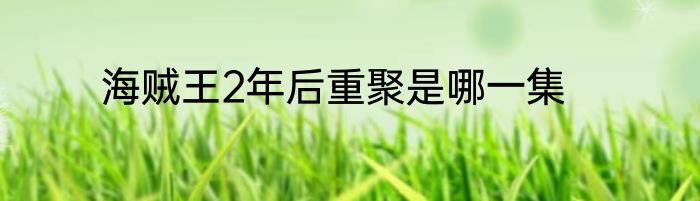 海贼王2年后重聚是哪一集