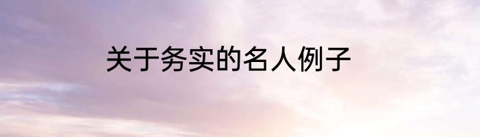 关于务实的名人例子