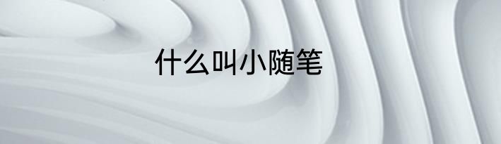 什么叫小随笔