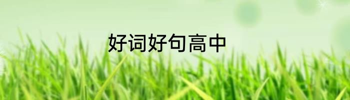 好词好句高中
