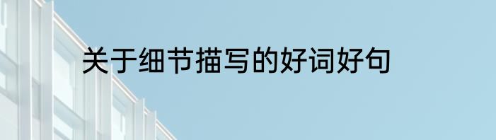 关于细节描写的好词好句