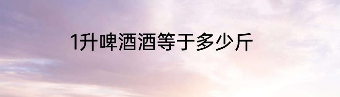 1升啤酒酒等于多少斤