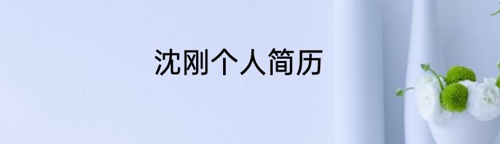 沈刚个人简历