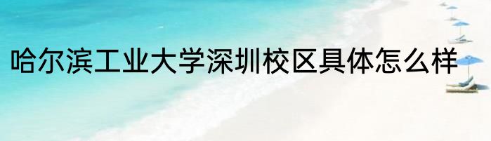 哈尔滨工业大学深圳校区具体怎么样
