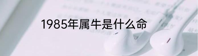 1985年属牛是什么命