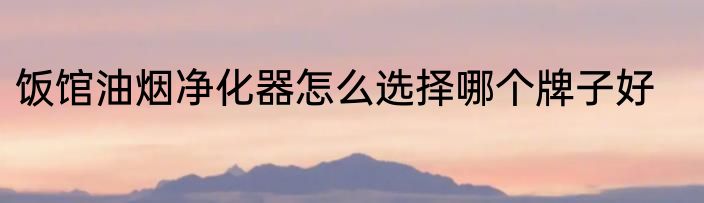 饭馆油烟净化器怎么选择哪个牌子好