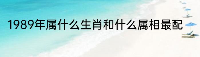1989年属什么生肖和什么属相最配