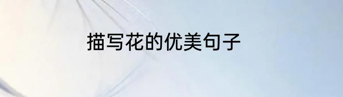 描写花的优美句子