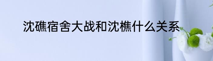 沈礁宿舍大战和沈樵什么关系