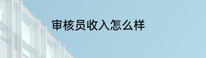 审核员收入怎么样
