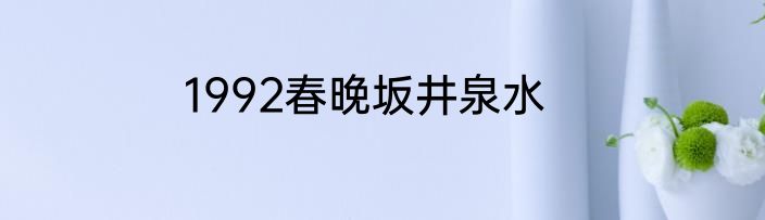 1992春晚坂井泉水