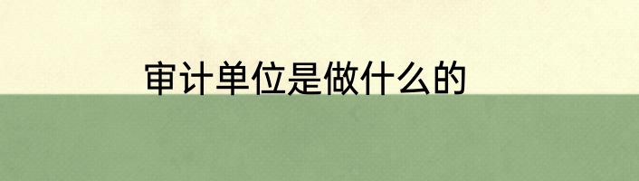 审计单位是做什么的