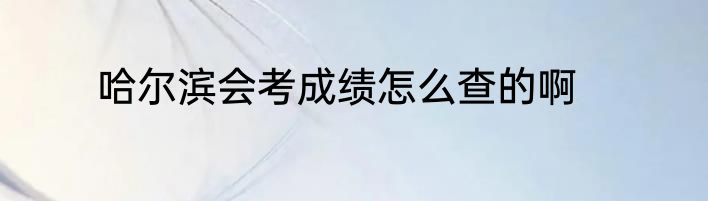 哈尔滨会考成绩怎么查的啊